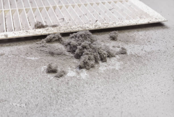 Best Professional Duct Cleaning Services  in Pinecrest, FL