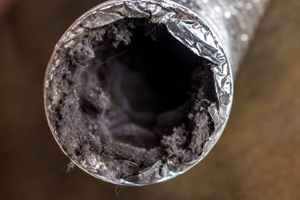 Best Air Duct Cleaning Near Me  in Pinecrest, FL